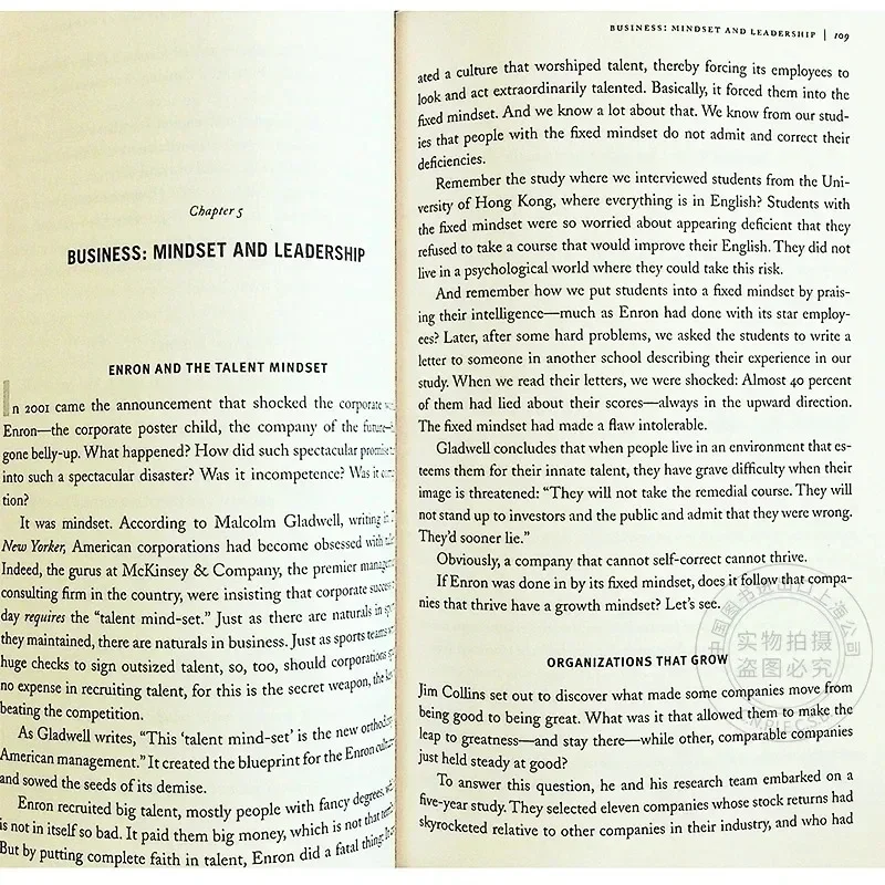 Mindset The New Psychology Of Success English Book by Carol S. Dweck Foreign Literature Inspirational Book thumbnail 5