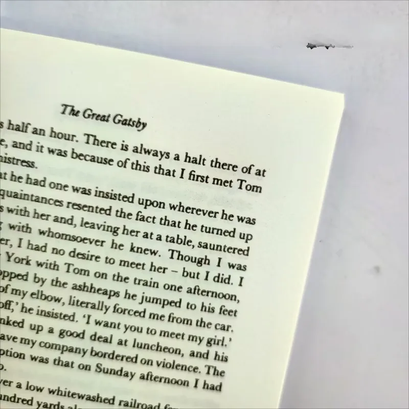 The Great Gatsby Novel Book English Bilingual Literature Famous Novella Books Child Adult No Deletions Fiction thumbnail 2