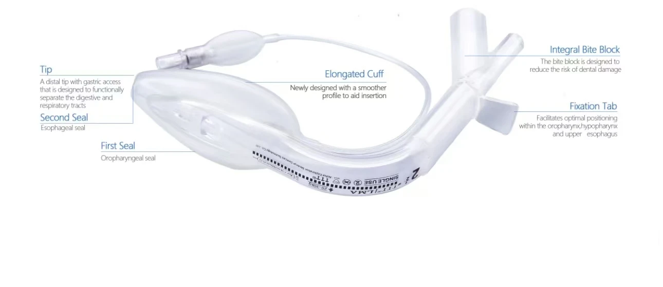 LMA Sterile Medical Double Lumen PVC Laryngeal Mask Airway Esophageal Seal Anesthesia Accessories Surgical Medical Accessories thumbnail 2