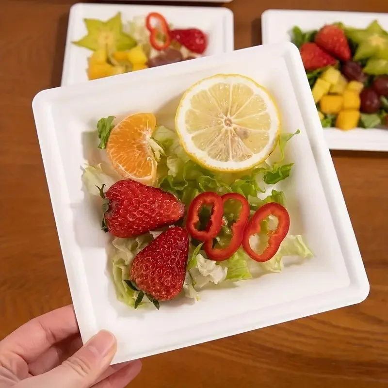 Disposable Square Plates Household Kitchen Restaurant Fruit Salad Dessert Appetizer Birthday Party Christmas Picnics Tableware thumbnail 6