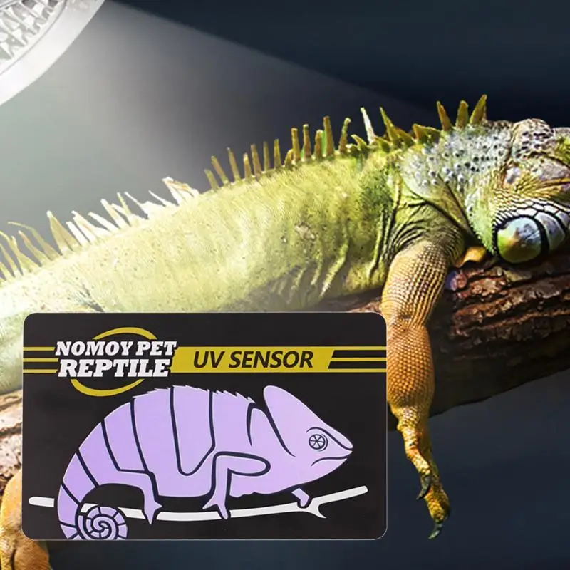 Uvb Test Cards Reptiles Uvb Lamp Uv Test Card Life Effective Tests Measurement Analysis Reusable Tools Uv Light Meter Detection thumbnail 5