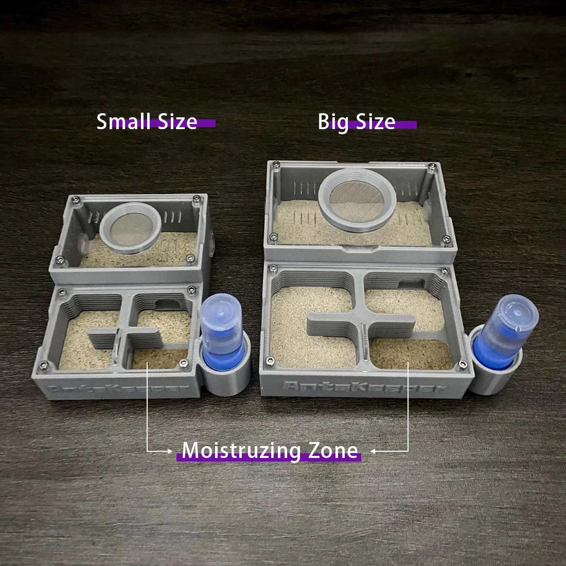 【Four Section】Flat Ant Farm with Indepedent Rooms for Ants keeper , Ant Hill House Nest for Small and Middle Ants Colony thumbnail 2