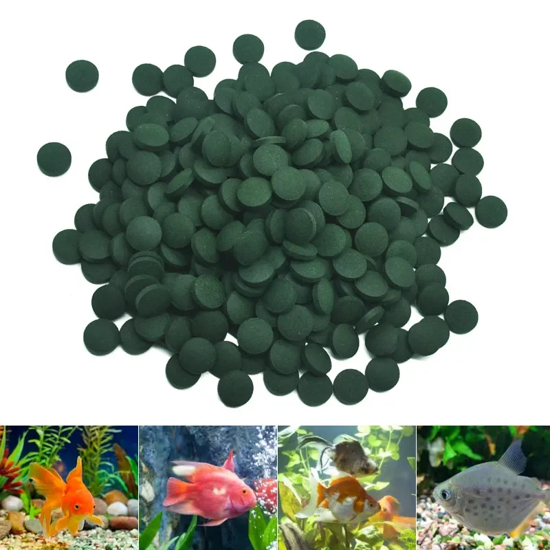 100pcs High Purity Spirulina Tablets Spiral Seaweed Enrichment Favorite Pets Food Fish Crystal Red Shrimp Fish Food Aquarium thumbnail 3