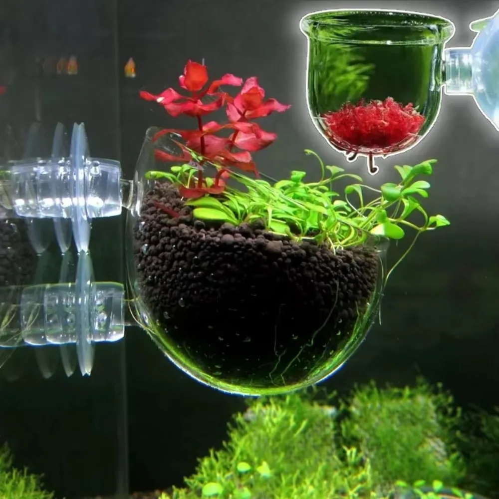 Fish Feeder Waterweed Nursery Pot Glass Aquarium Decor Pot Polka Water Potted Aquatic Planting Cylinder Cup Aquarium Accessories