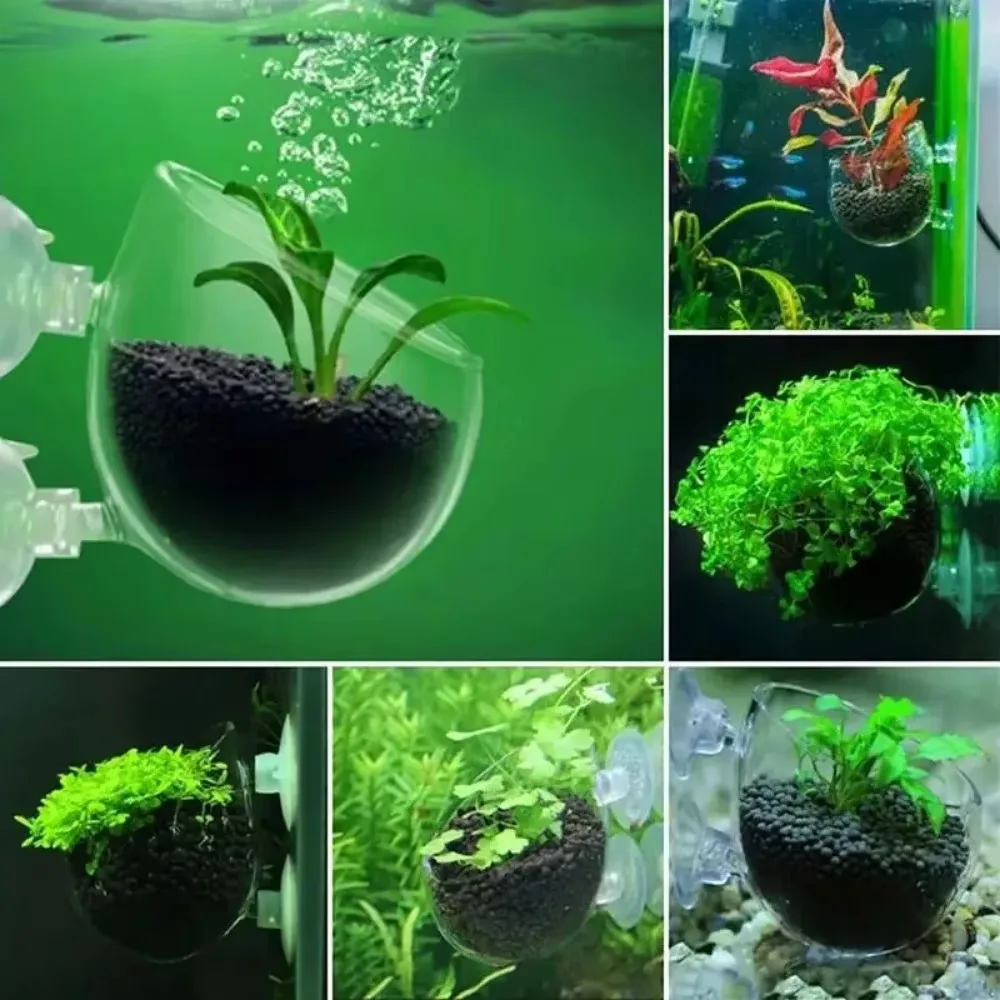 Fish Feeder Waterweed Nursery Pot Glass Aquarium Decor Pot Polka Water Potted Aquatic Planting Cylinder Cup Aquarium Accessories thumbnail 2