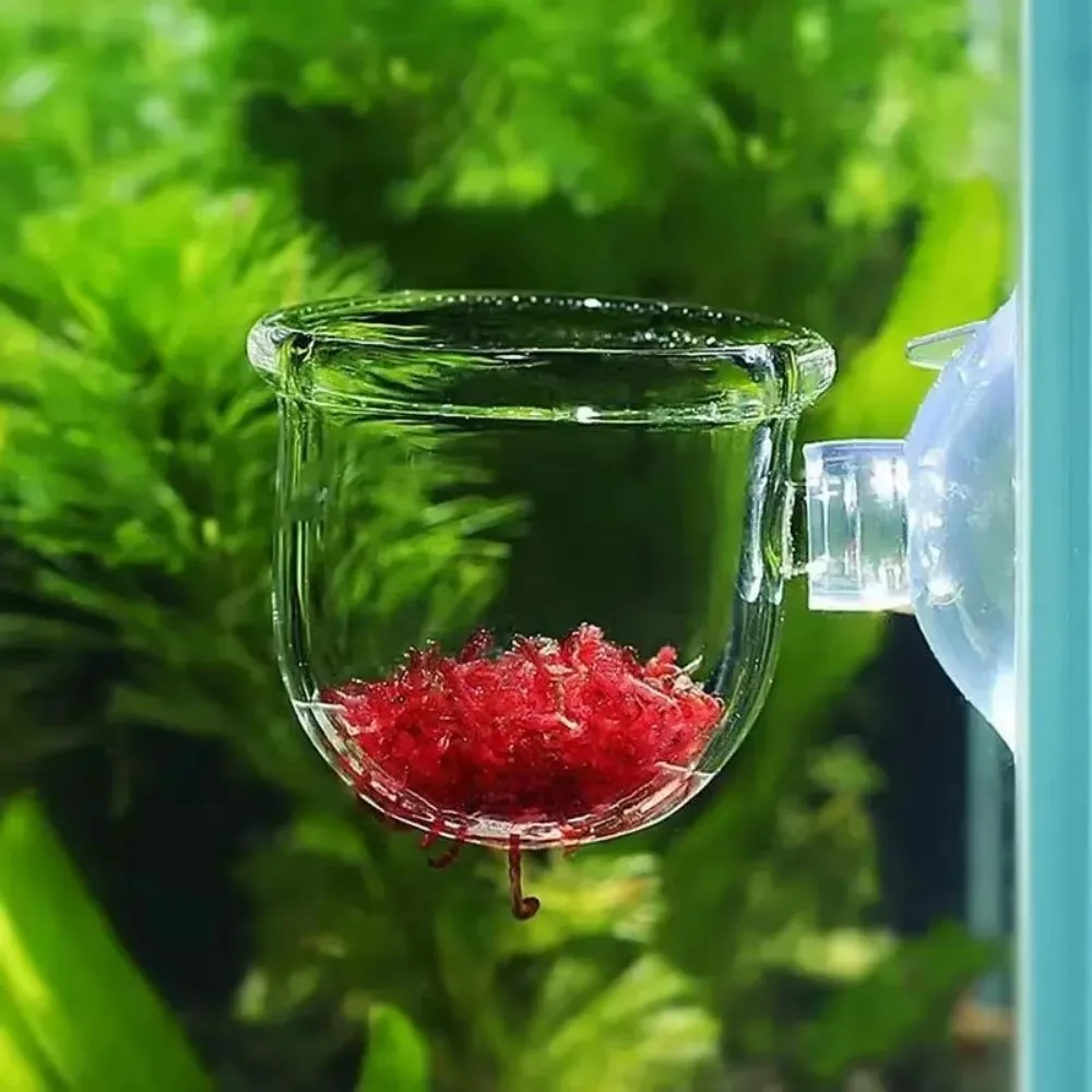Fish Feeder Waterweed Nursery Pot Glass Aquarium Decor Pot Polka Water Potted Aquatic Planting Cylinder Cup Aquarium Accessories thumbnail 3