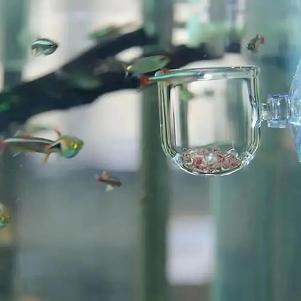 Fish Feeder Waterweed Nursery Pot Glass Aquarium Decor Pot Polka Water Potted Aquatic Planting Cylinder Cup Aquarium Accessories thumbnail 4