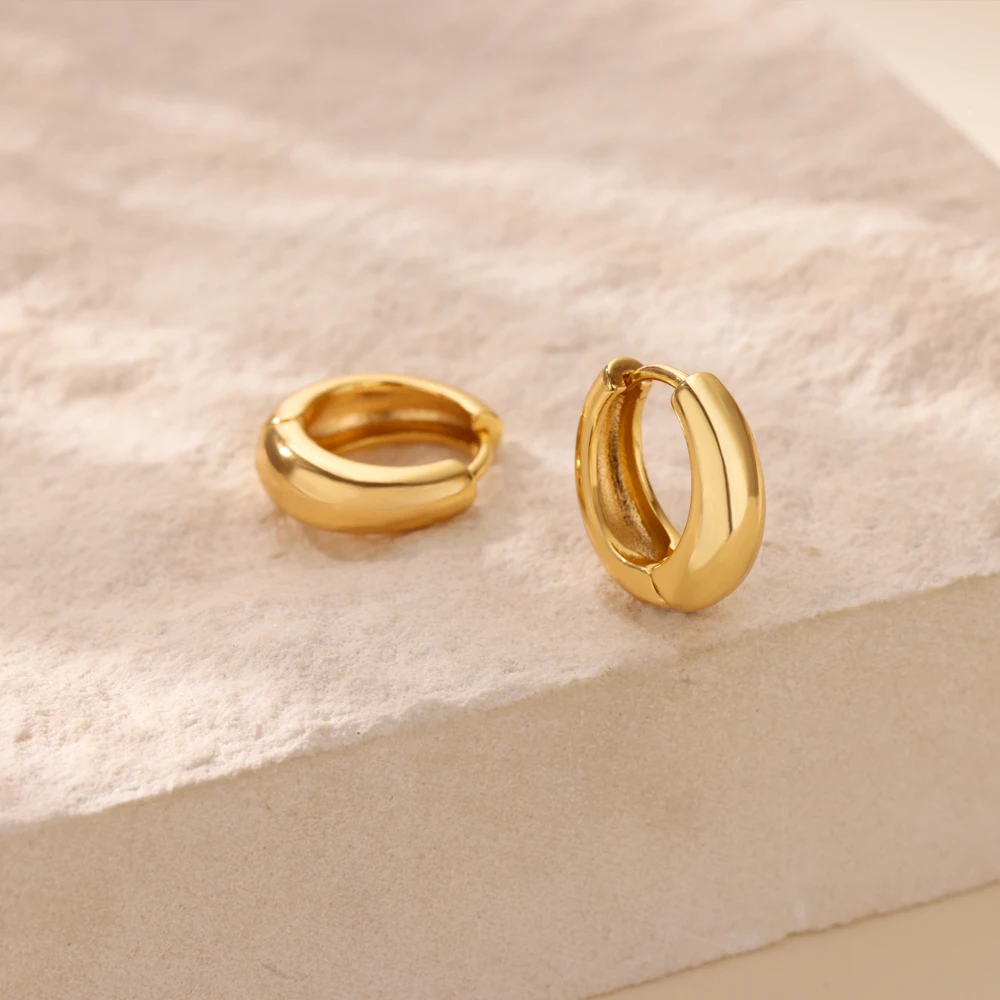Classic Hoop Earrings for Women Girls Gold Color Chunky Stainless Steel Earrings 2026 Trend New in Minimalist Ear Jewelry aretes thumbnail 4