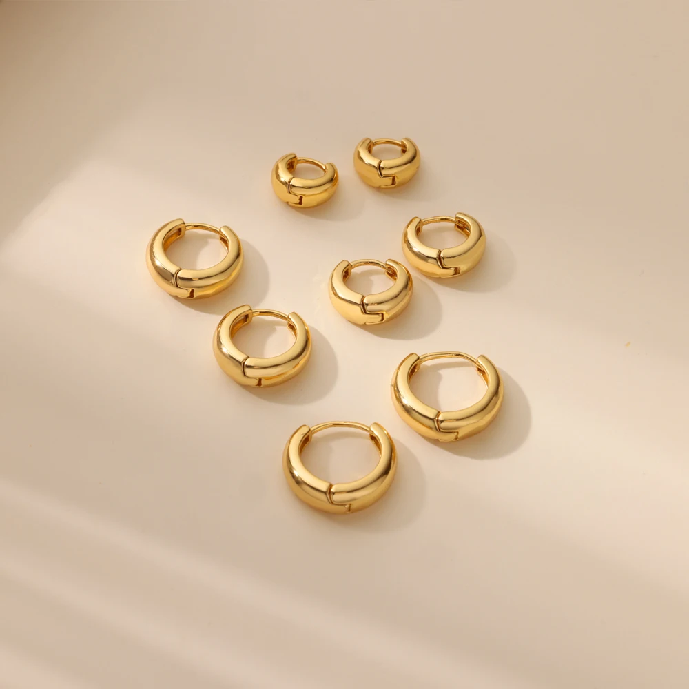 Classic Hoop Earrings for Women Girls Gold Color Chunky Stainless Steel Earrings 2026 Trend New in Minimalist Ear Jewelry aretes thumbnail 5