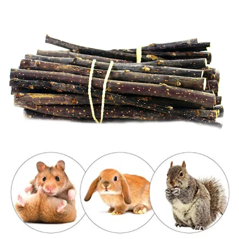 100% Natural Apple Branch Rabbit Chew Sticks Small Pet Chinchillas Netherlands Pig Hamster Bite Molars Clean Teeth Wooden Toys thumbnail 2