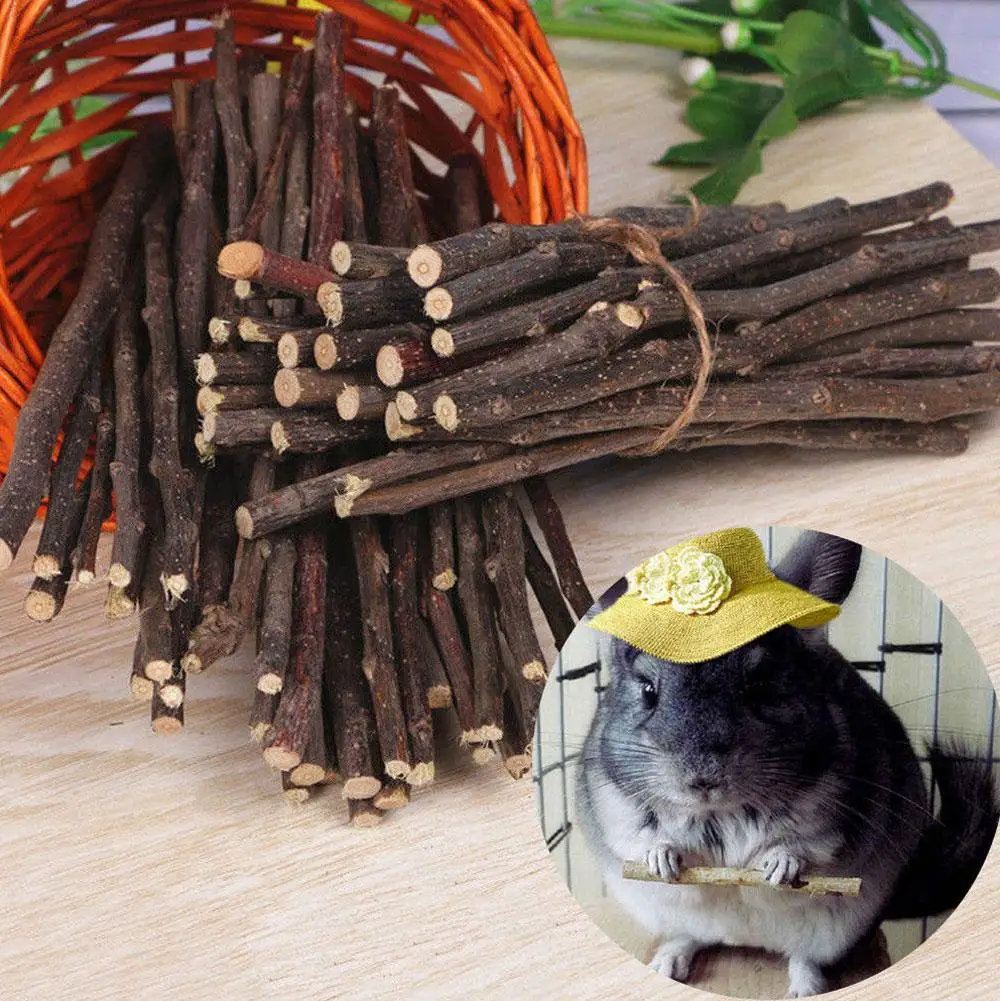 100% Natural Apple Branch Rabbit Chew Sticks Small Pet Chinchillas Netherlands Pig Hamster Bite Molars Clean Teeth Wooden Toys thumbnail 4