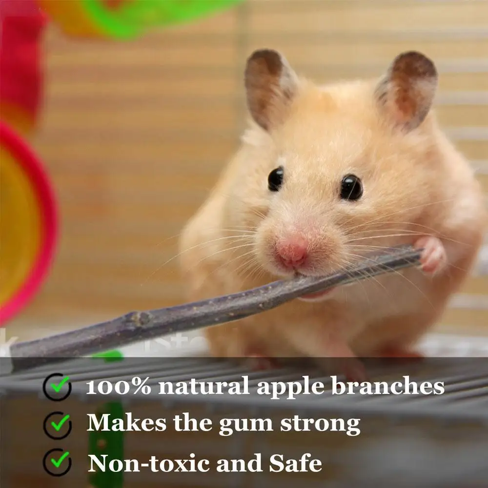 100% Natural Apple Branch Rabbit Chew Sticks Small Pet Chinchillas Netherlands Pig Hamster Bite Molars Clean Teeth Wooden Toys thumbnail 5