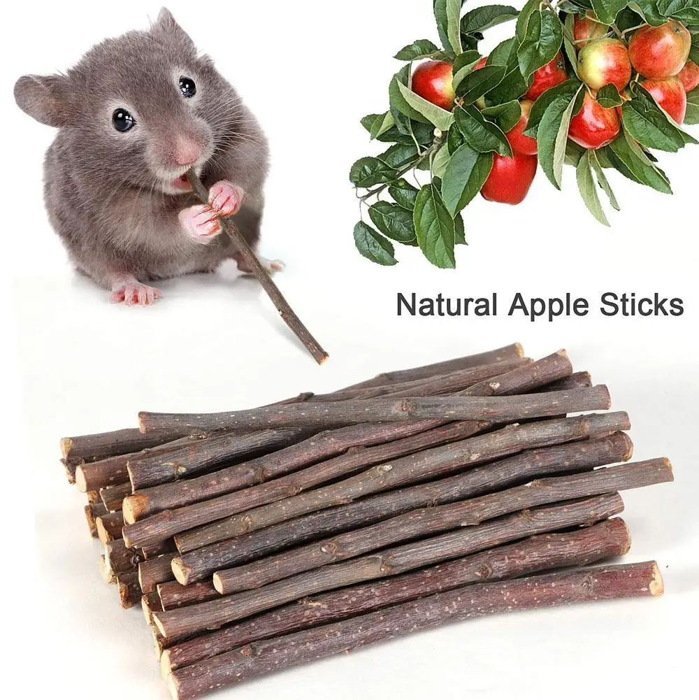 100% Natural Apple Branch Rabbit Chew Sticks Small Pet Chinchillas Netherlands Pig Hamster Bite Molars Clean Teeth Wooden Toys thumbnail 6