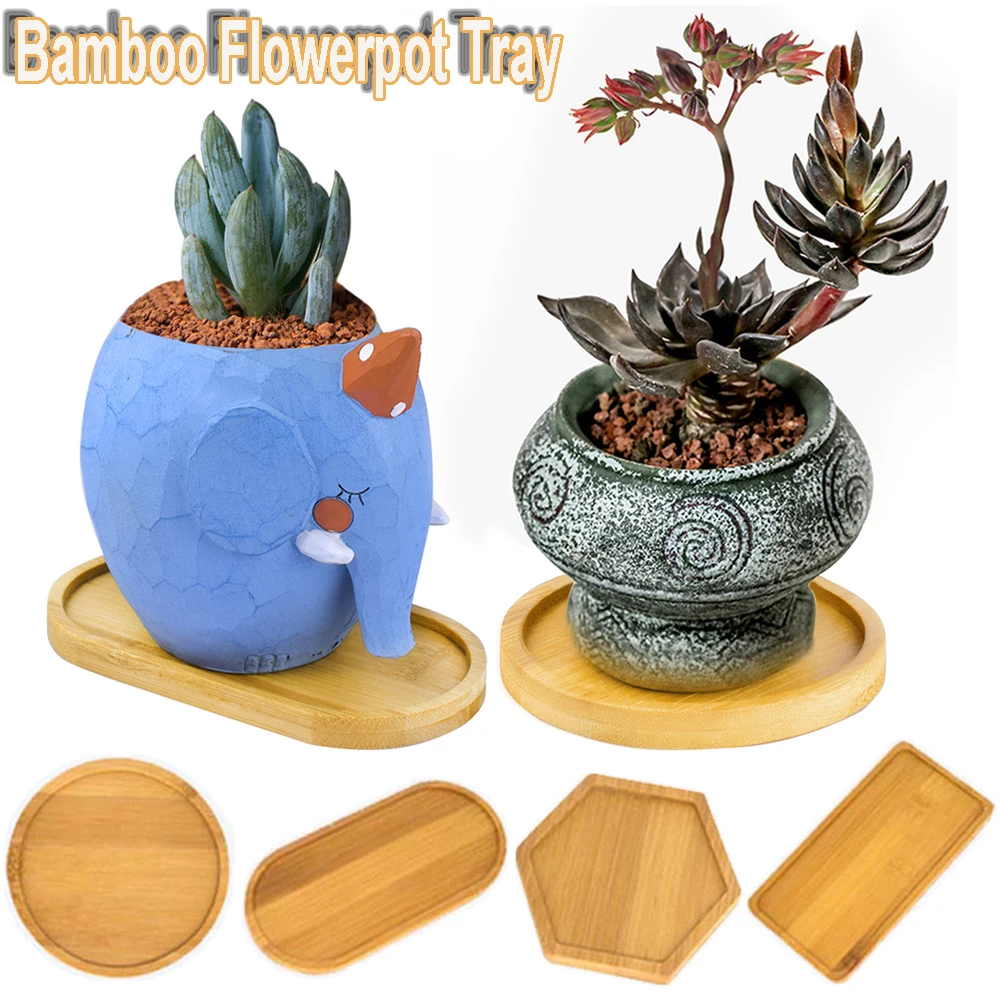 Simple Style Home Decoration Succulents Bonsai Holder Round Square Flowerpot Base Hexagon Rectangle Bamboo Wood Tray thumbnail 2