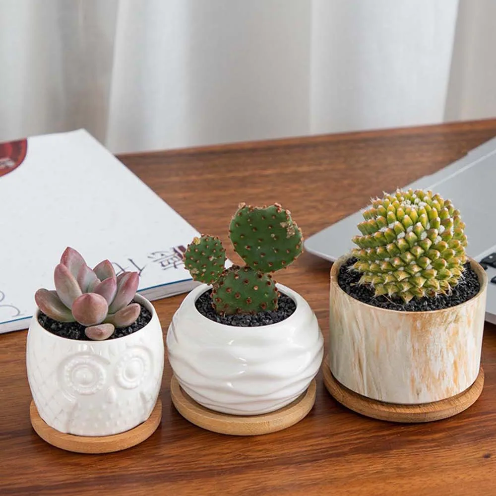 Simple Style Home Decoration Succulents Bonsai Holder Round Square Flowerpot Base Hexagon Rectangle Bamboo Wood Tray thumbnail 4