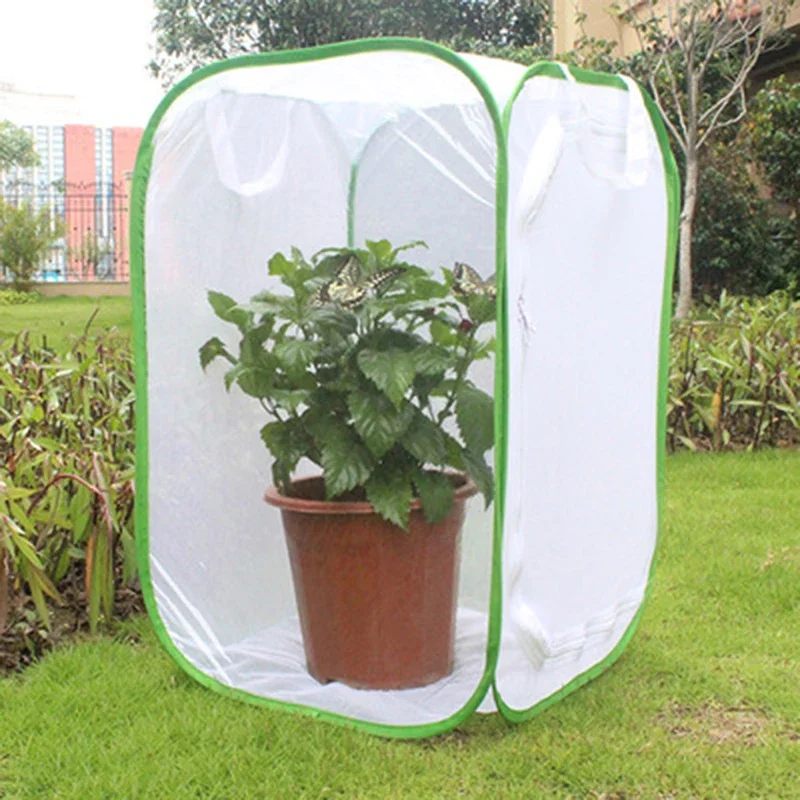 Collapsible Insect Cage Mesh Habitat Bird Butterfly Mantis Stick Grid Breeding Cricket Net Cloth Farm Cocoon Silkworm Hatch Cage thumbnail 2