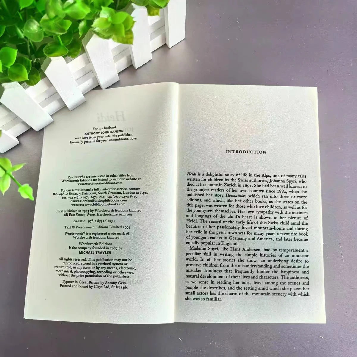 Heidi Johanna Spyr's World Literature Classic Novels in English thumbnail 4