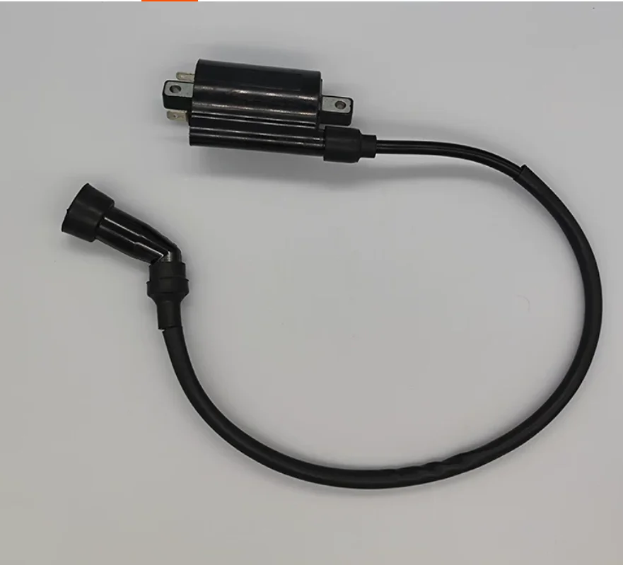 200cc ignition coil ignitor For LIFAN KPS200 KPT200 KPR200 LF200-10R LF150 KPS KPT KPR 200 150 v16