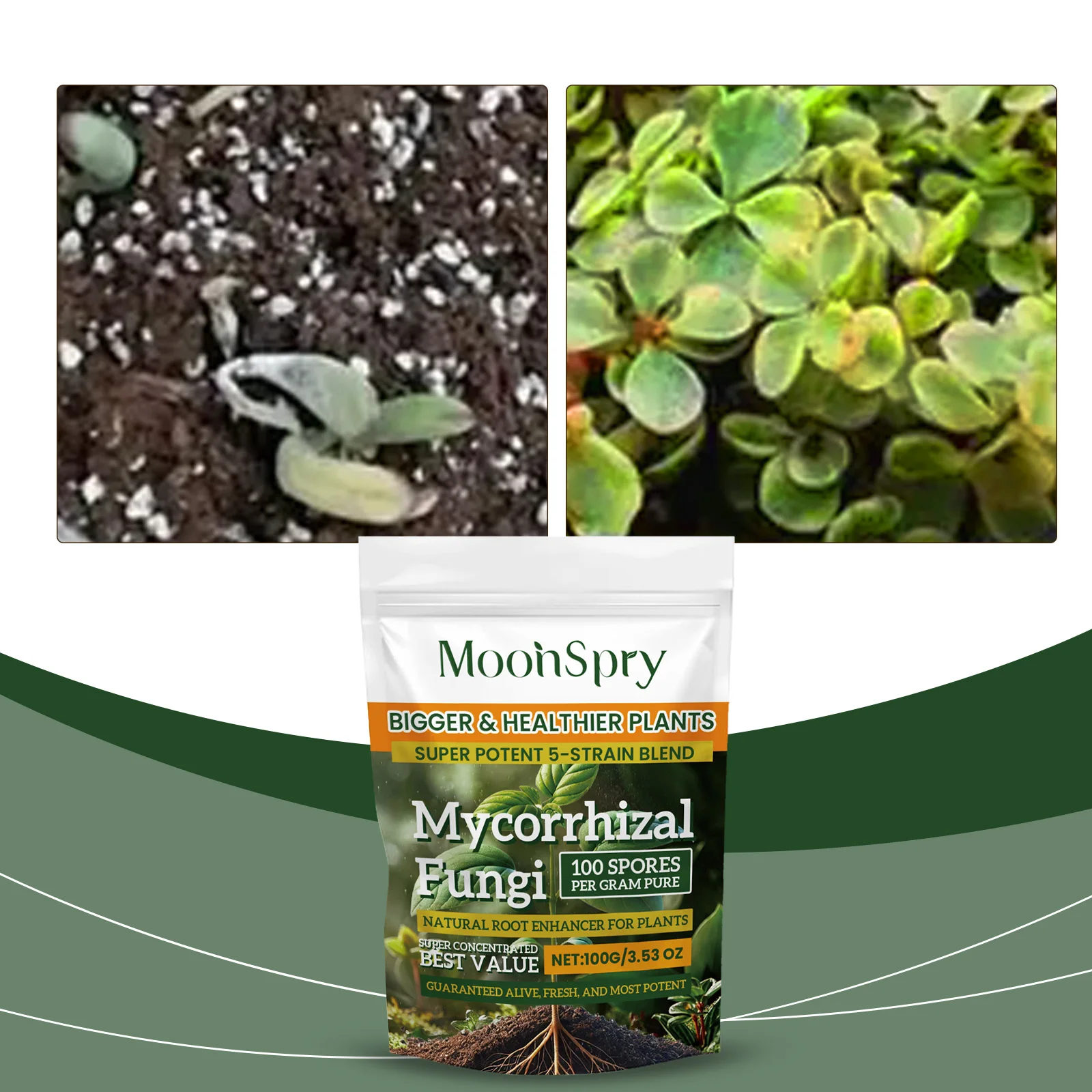 Organic plant root system enhancement powder; garden flower plant root supplement nutrition improve soil plant nutrition powder thumbnail 2