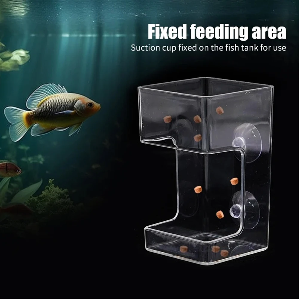 Fish Feeder Holder Prevent Pollution Floating Fixed Feeder with Tray Aquarium Supplies