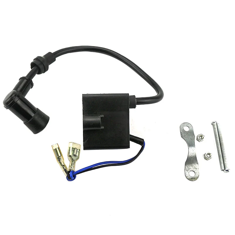 Magneto Stator Ignition Coil CDI For 49cc 60cc 66cc 80cc Engine 2-Stroke Motorized Bicycle Bike Accessories thumbnail 6