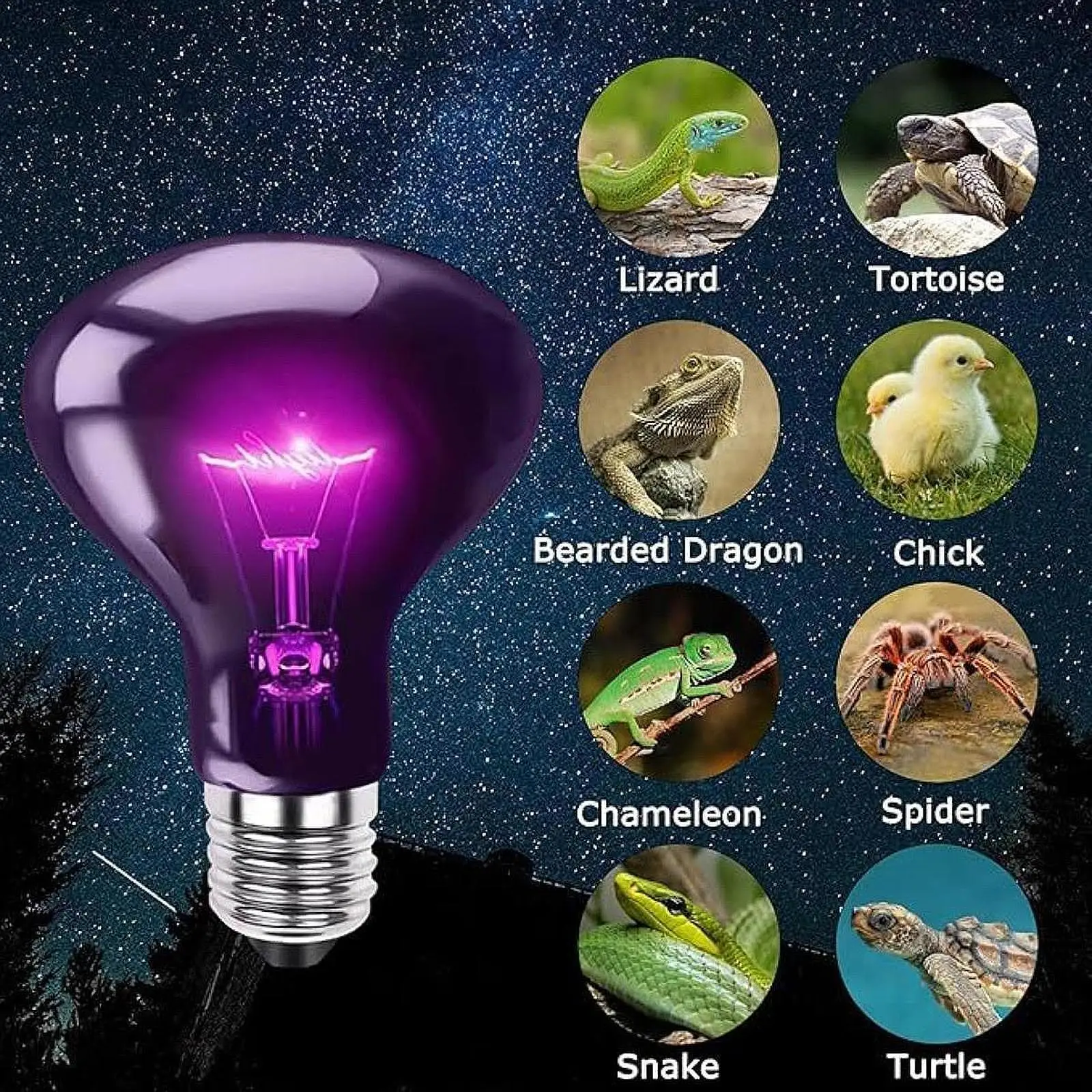 Reptile Night Light Bulb Simulated Moonlight Purple Heat Lamp for Amphibian thumbnail 5