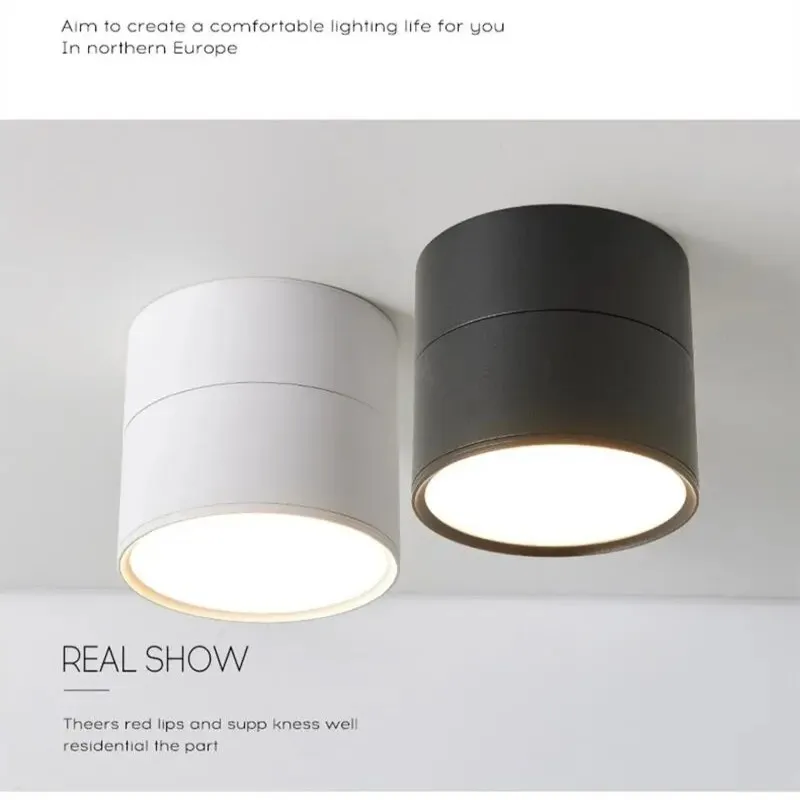 Dimmable Surface Mounted LED Downlight 10W/15W Rotating LED Spot Light Ceiling Lamp with LED Driver AC110V/220V Home Decoration thumbnail 2