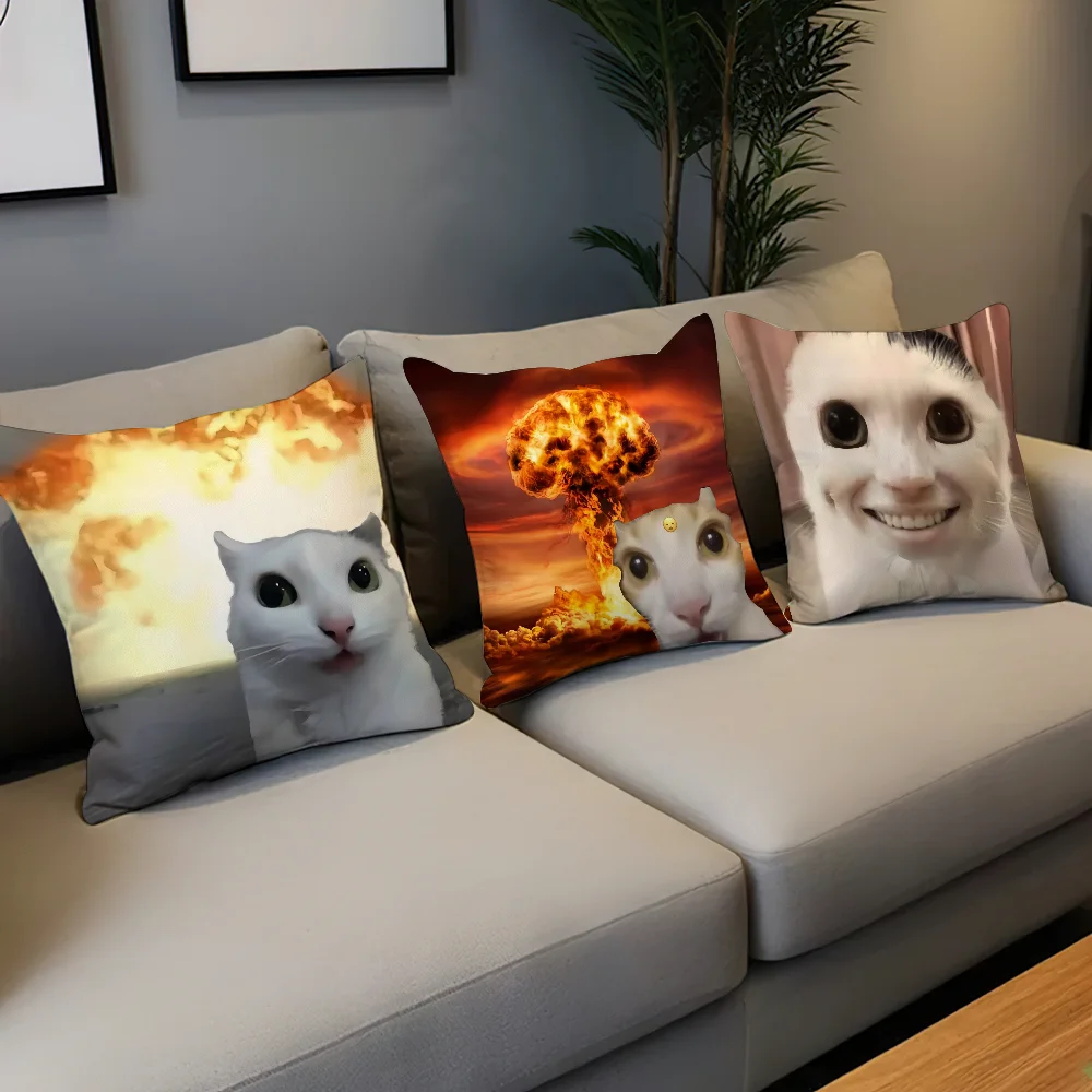 cushion cover Comfortable soft cat funny Pillow Case for Sofa meme Living Room Home office Decor and Protective Covers thumbnail 3