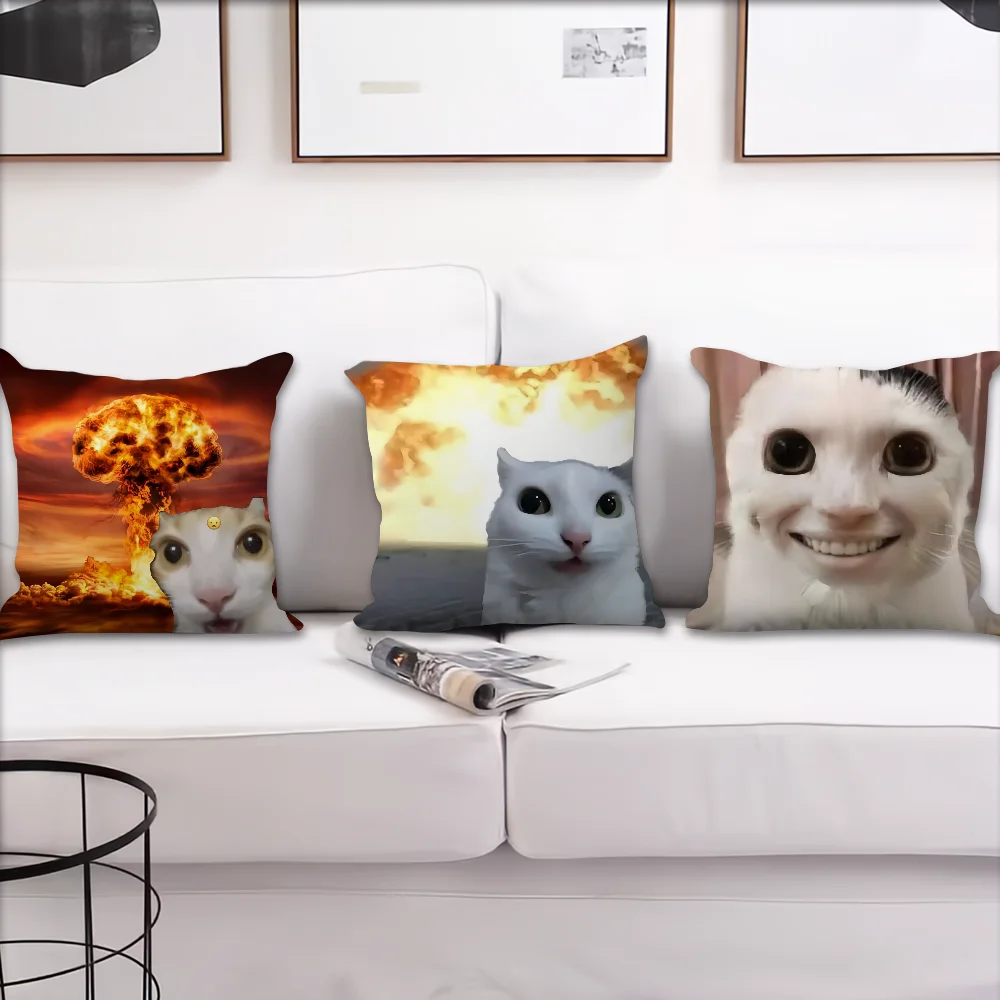 cushion cover Comfortable soft cat funny Pillow Case for Sofa meme Living Room Home office Decor and Protective Covers thumbnail 4
