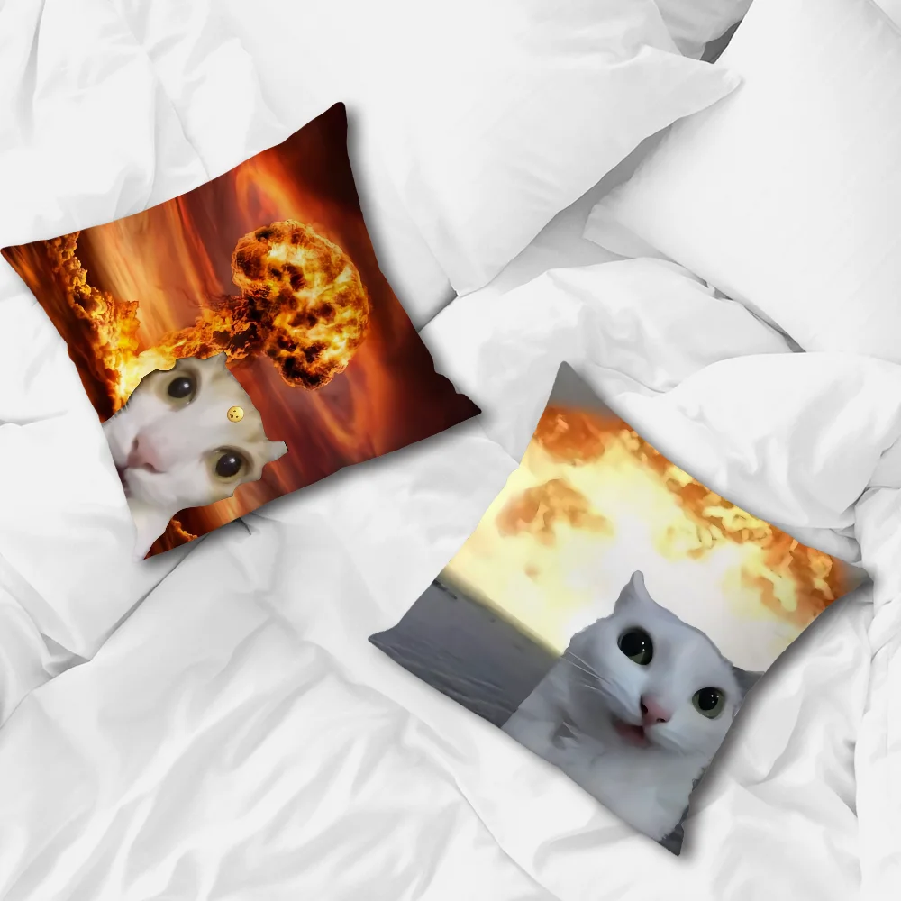 cushion cover Comfortable soft cat funny Pillow Case for Sofa meme Living Room Home office Decor and Protective Covers thumbnail 5