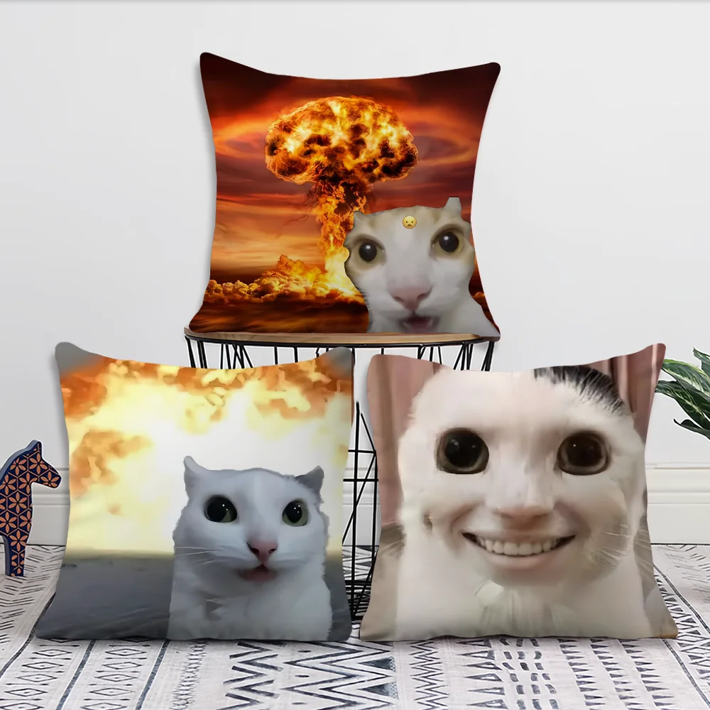 cushion cover Comfortable soft cat funny Pillow Case for Sofa meme Living Room Home office Decor and Protective Covers thumbnail 2