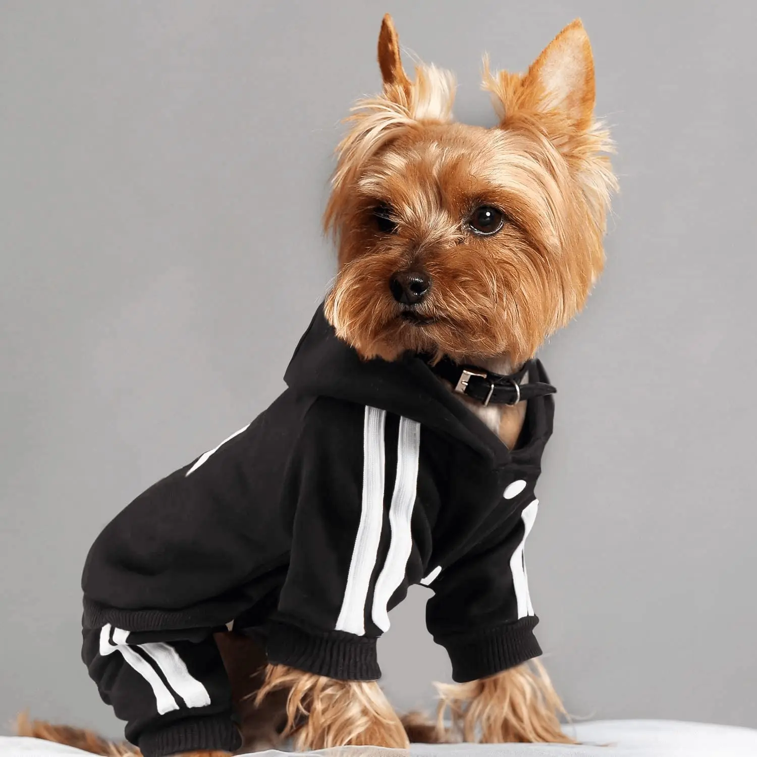 Brand Design Adidog Clothing Dog Jumpsuit Sports Suit Spring Dog Clothes for Small Dogs Chihuahua Terrier Beagle Pet Apparel thumbnail 3