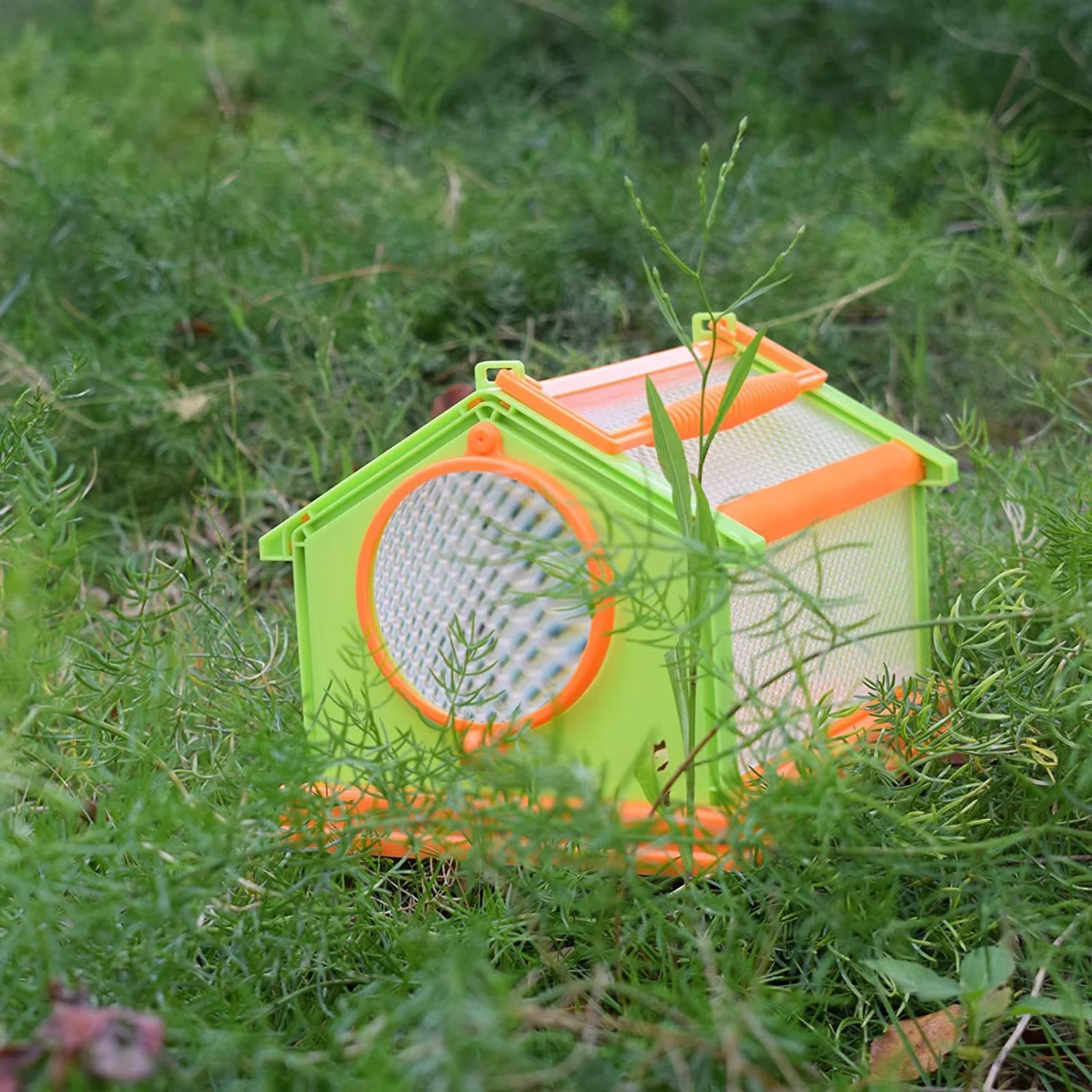 New 4 Color Portable Butterfly Insect Habitat Cage with Carrying Handle Collapsible Breathable Mesh Caterpillars Cage for Insect thumbnail 4
