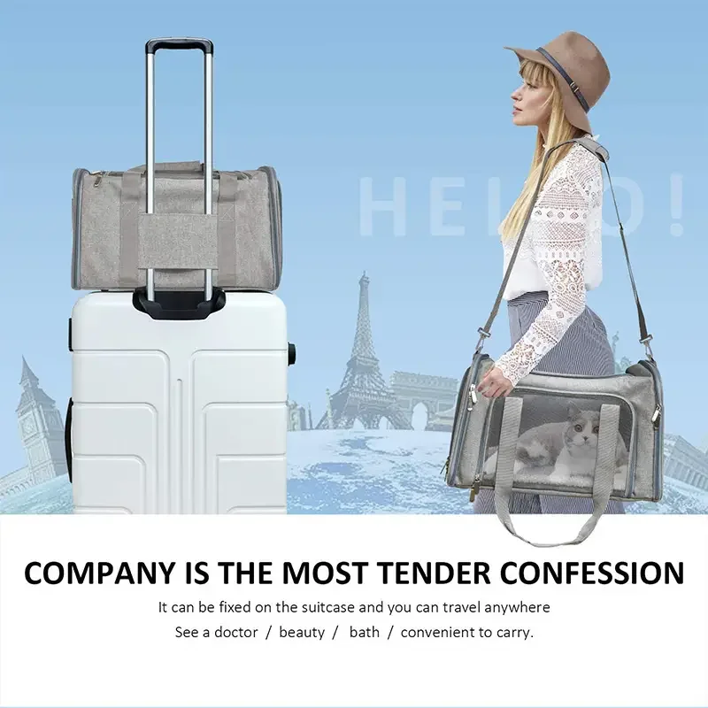 Pet Carrier Bag Side Ventilated Backpack Cat Pet Carriers Dog Travel Bag Airline Approved Transport for Small Dogs Cats Outgoing thumbnail 4