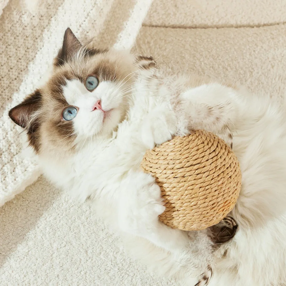Interactive Sisal Cat Scratching Ball Toy For Kitten Teeth Cleaning Anti Bite 10CM Super Big Cat Ball Sounding Toy Pet Supplies thumbnail 3