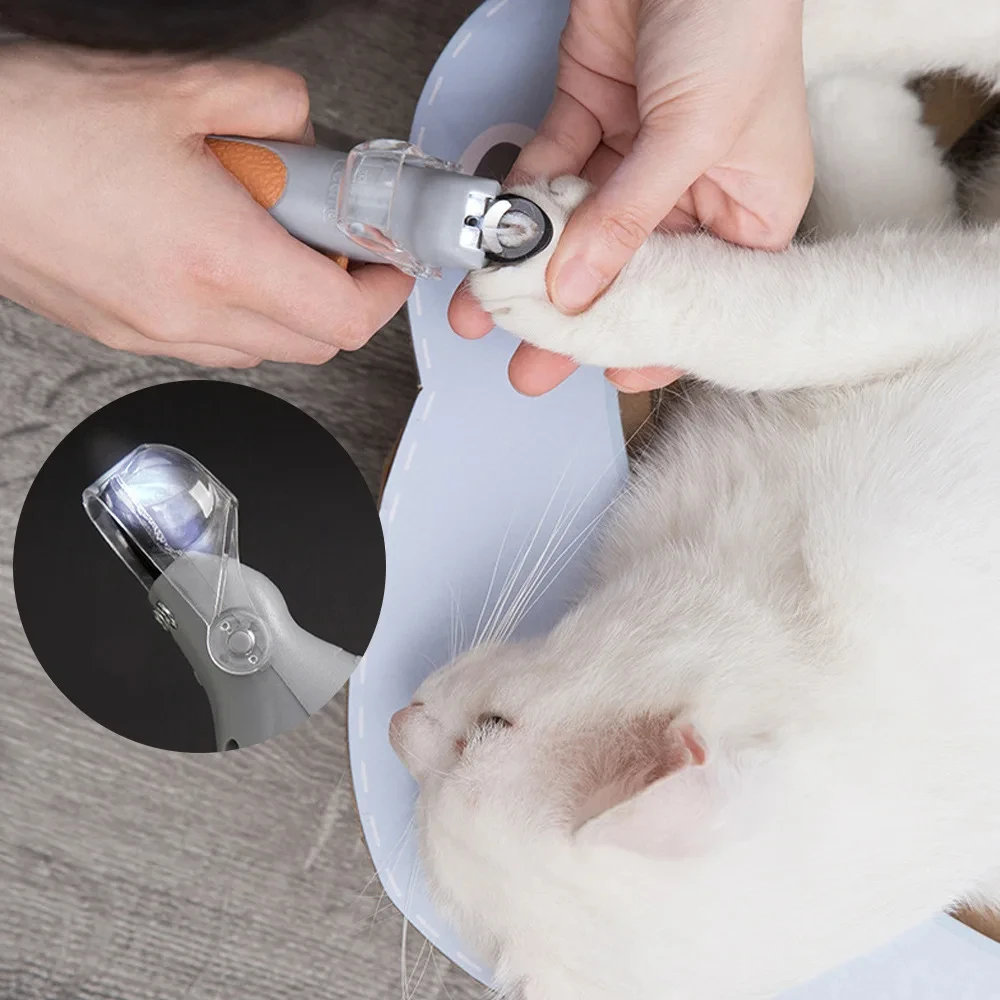 Professional Pet Nail Clipper Scissors With LED Light Cat Dog Nail Clipper Tool Scissors Nail Toeclaw Cutter Scissors Pet Supply thumbnail 5