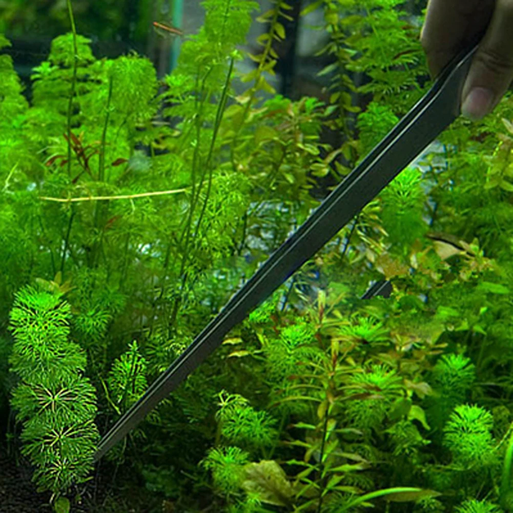 Stainless Steel Aquarium Tweezers Pliers Fish Tank Plant Aquascape Tools Straight Curved Forceps Clip Aquatic Feeding Tongs 27cm thumbnail 5