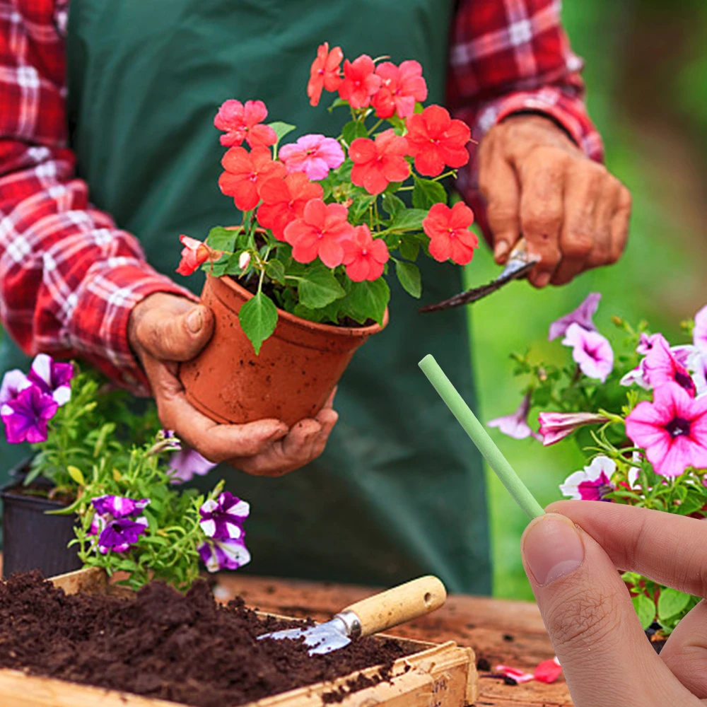 Plant Slow-release Sticks Nutrient Stick Universal Indoor Potted Flower Pot Plants Fertilizer Bars Enhancer Garden Accessories thumbnail 5