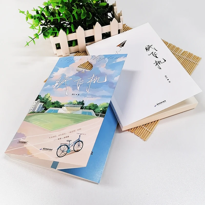 Paper Airplane Original Novel Vol. 1 Chinese Modern Youth Campus Romance Love Fiction Book thumbnail 4