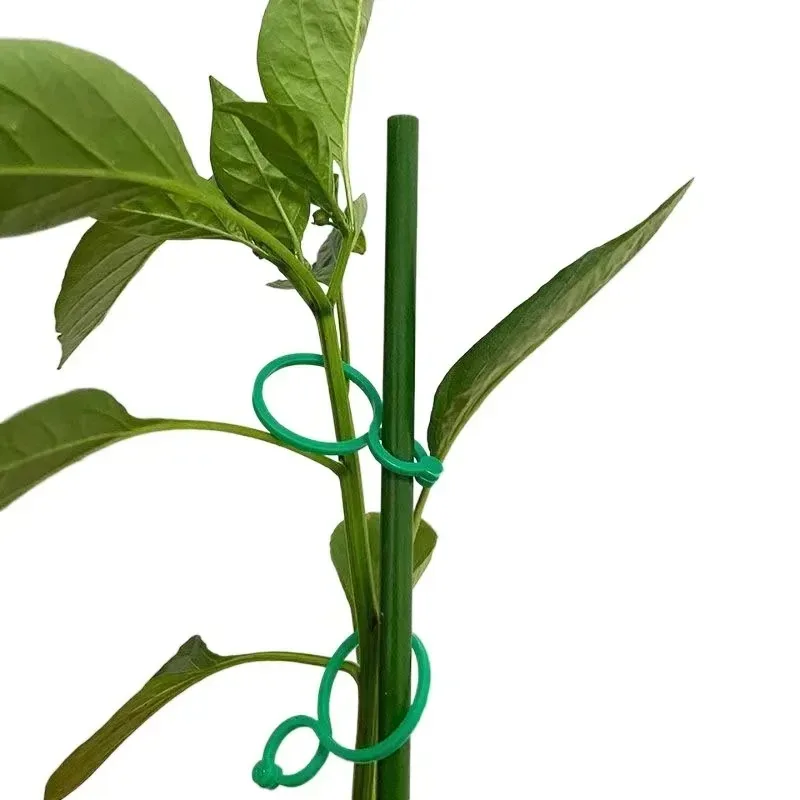 50Pcs Garden Vine Tying Clips Plant Vegetable Tomato Binding Fixing Clip 8 Word Buckle Gardening Plant Stand Tool Accessory thumbnail 4
