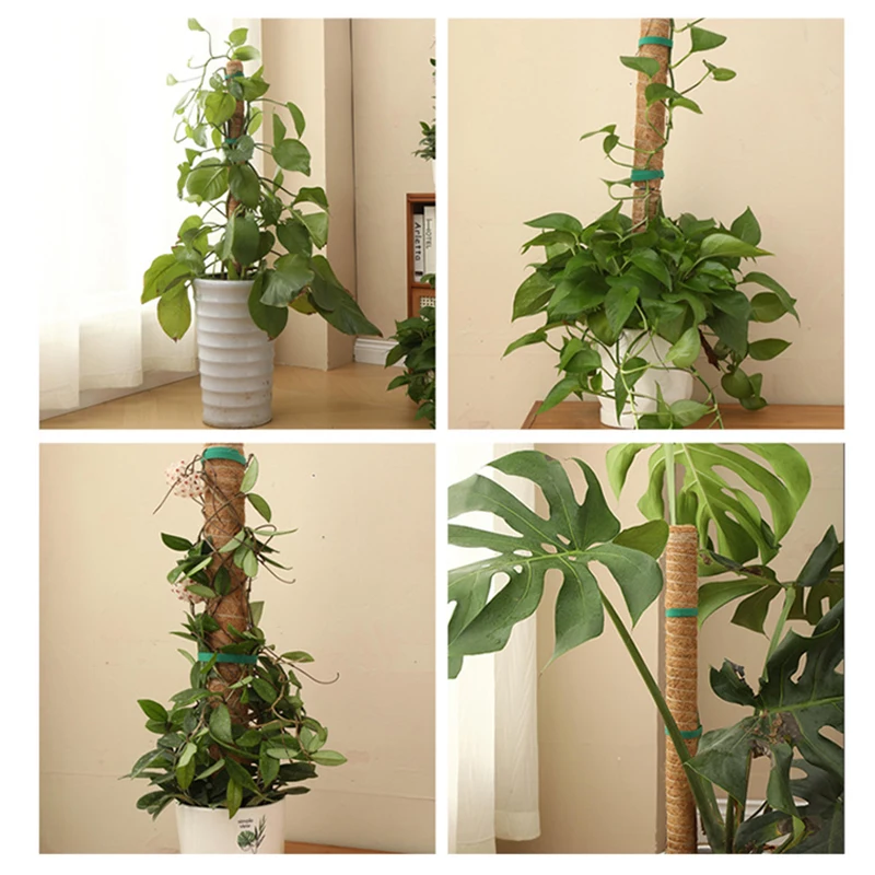 Bendable Plants Climbing Support Plant Moss Coir Pole Bottom Climbing Bracket Deformed Coconut Palm Stick Plant Climbing Support thumbnail 6