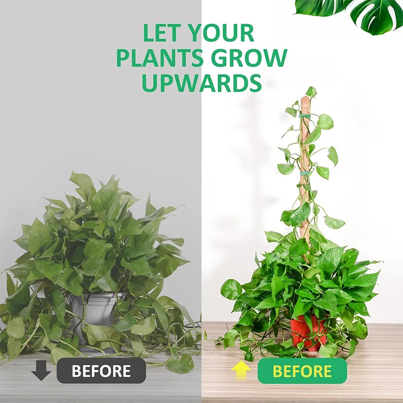 Bendable Plants Climbing Support Plant Moss Coir Pole Bottom Climbing Bracket Deformed Coconut Palm Stick Plant Climbing Support thumbnail 2