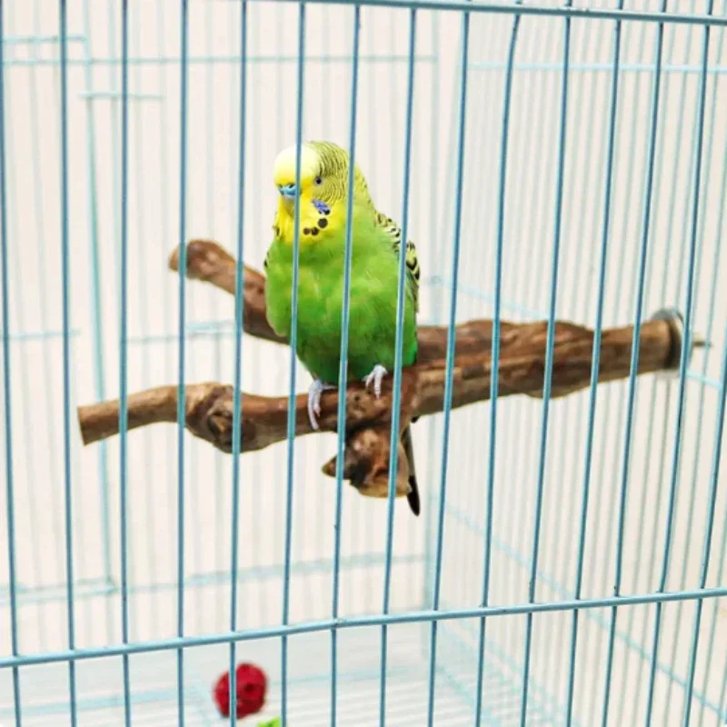 Pet Standing Stick Wild Grape Wood Pole Parrot Cockatiel Parakeet Station Board Bite Claw Grinding Toy Bird Cage Accessories thumbnail 6