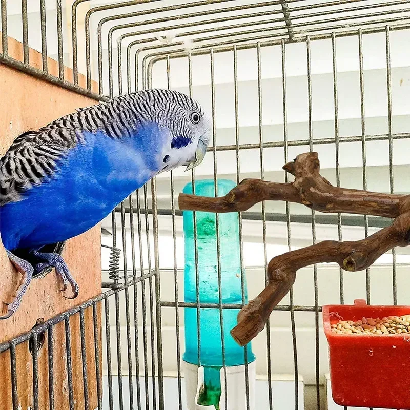 Pet Standing Stick Wild Grape Wood Pole Parrot Cockatiel Parakeet Station Board Bite Claw Grinding Toy Bird Cage Accessories thumbnail 4