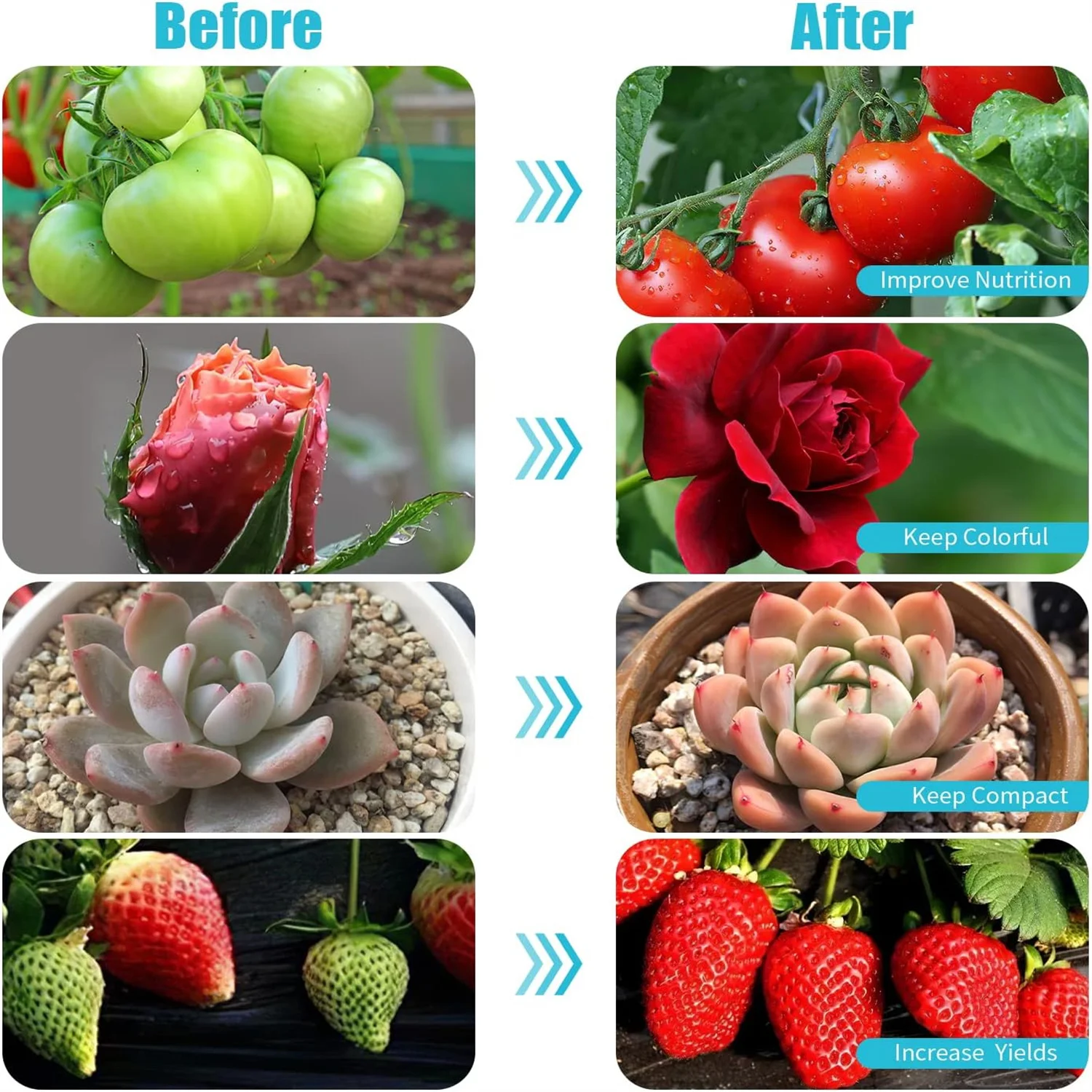 LED Plant Growth Lamp Three-Head Indoor Plant Growth Lamp Full Spectrum Plant Growth Lamp With Clip Seed Automatic Switch Timing thumbnail 5