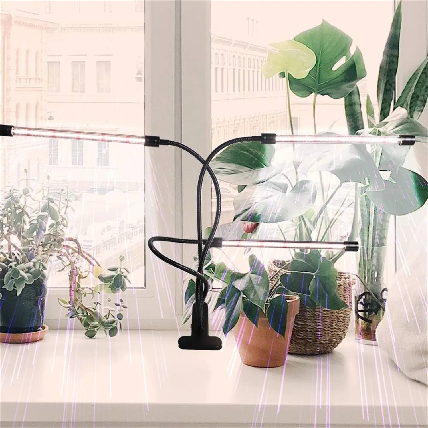 LED Plant Growth Lamp Three-Head Indoor Plant Growth Lamp Full Spectrum Plant Growth Lamp With Clip Seed Automatic Switch Timing thumbnail 2