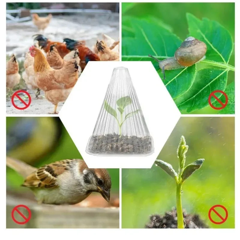 20PCS/Set of Reusable Plant Seedling Cover, Vegetable Seedling Windproof and Antifreeze Greenhouse Garden Plant Protection Cover thumbnail 6