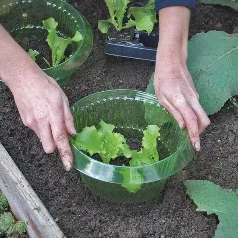 20/1pcs Slug Collars Snail Plant Insect-Proof Guards for Plants Vegetable Protection Covers Reusable Agricultural Garden Cloches thumbnail 3