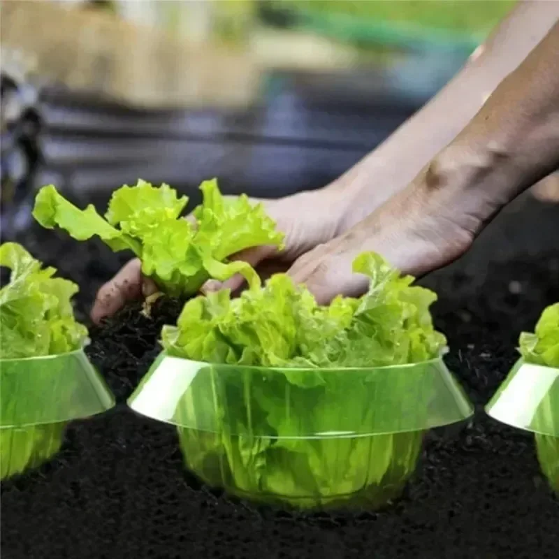 20/1pcs Slug Collars Snail Plant Insect-Proof Guards for Plants Vegetable Protection Covers Reusable Agricultural Garden Cloches thumbnail 2
