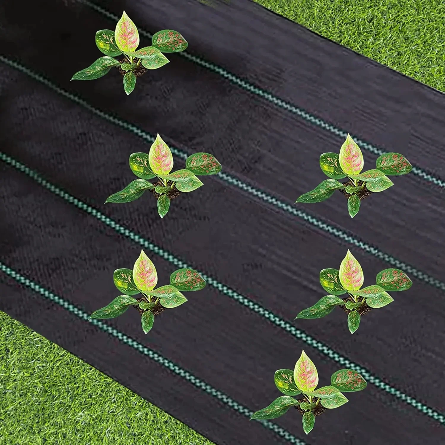 Non-Slip Outdoor mat  Plant protective cover, weeding and pest control Weed Barrier Fabric Heavy Duty Woven Weed Control Fabric thumbnail 3